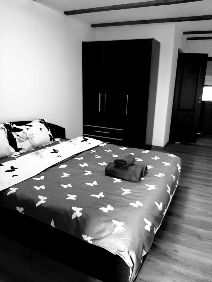 Casa De Vacanta Sadu Buitenkant foto