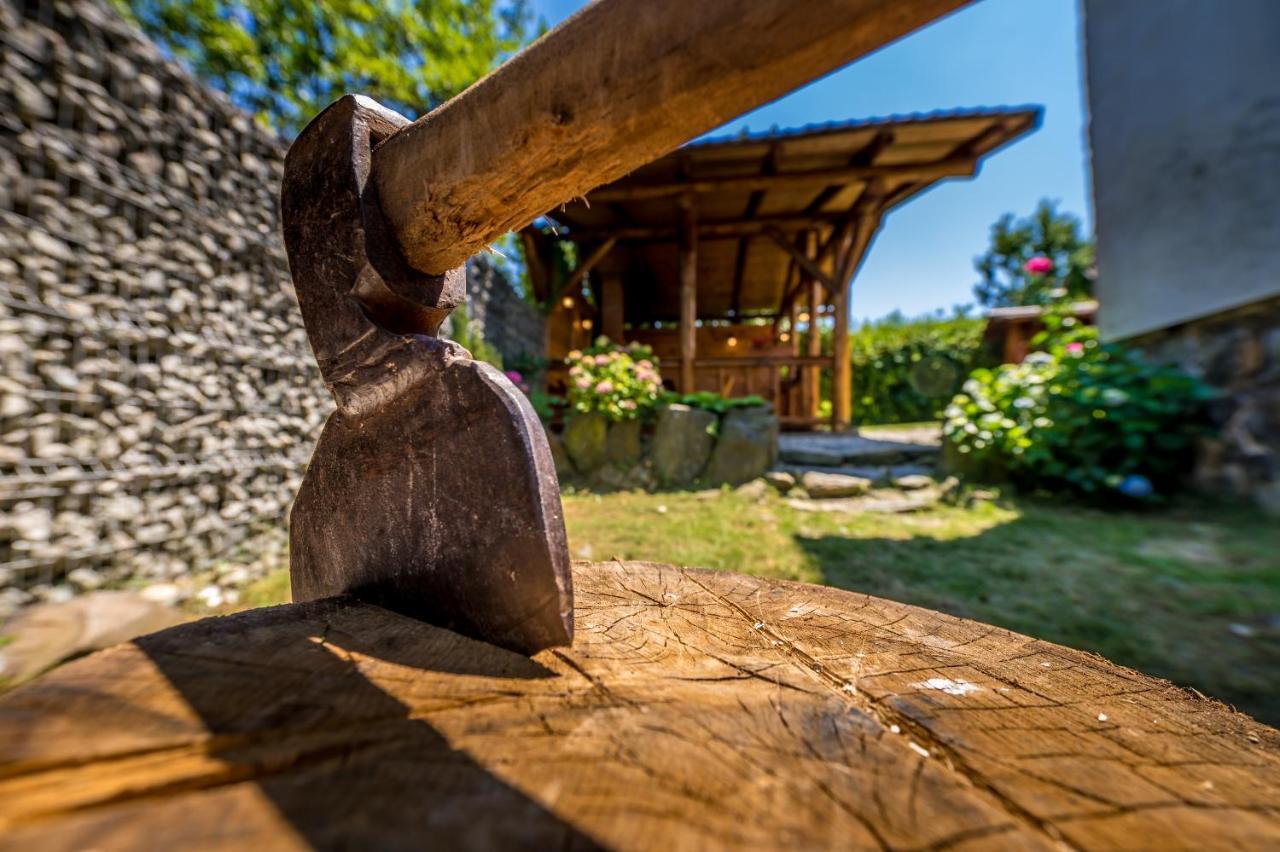Casa De Vacanta Sadu Buitenkant foto